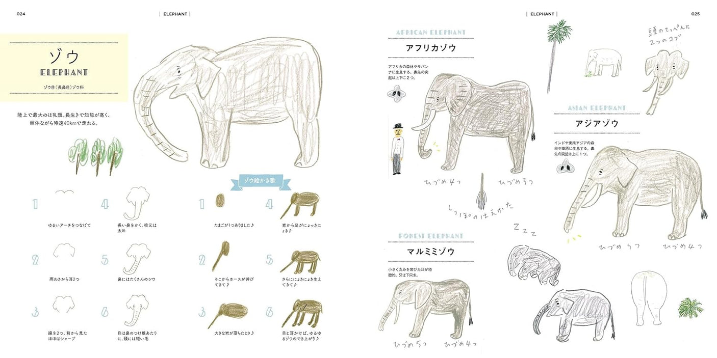 Miyata Chika's Drawing Zoo New Edition Japanese Craft Book