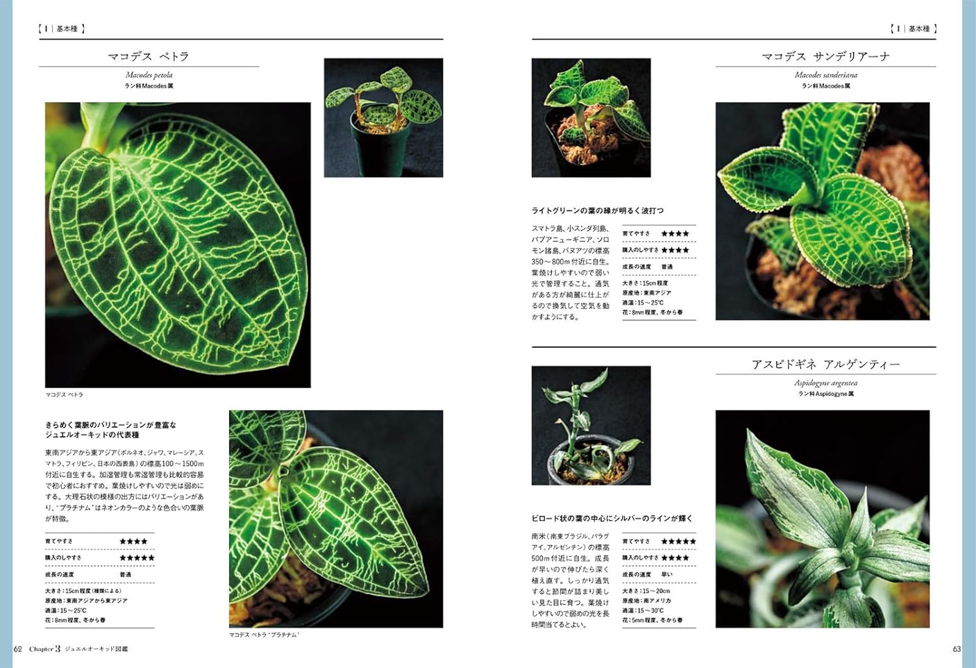 Jewel Orchid (Forest jewels to enjoy in your room)- Japanese craft book