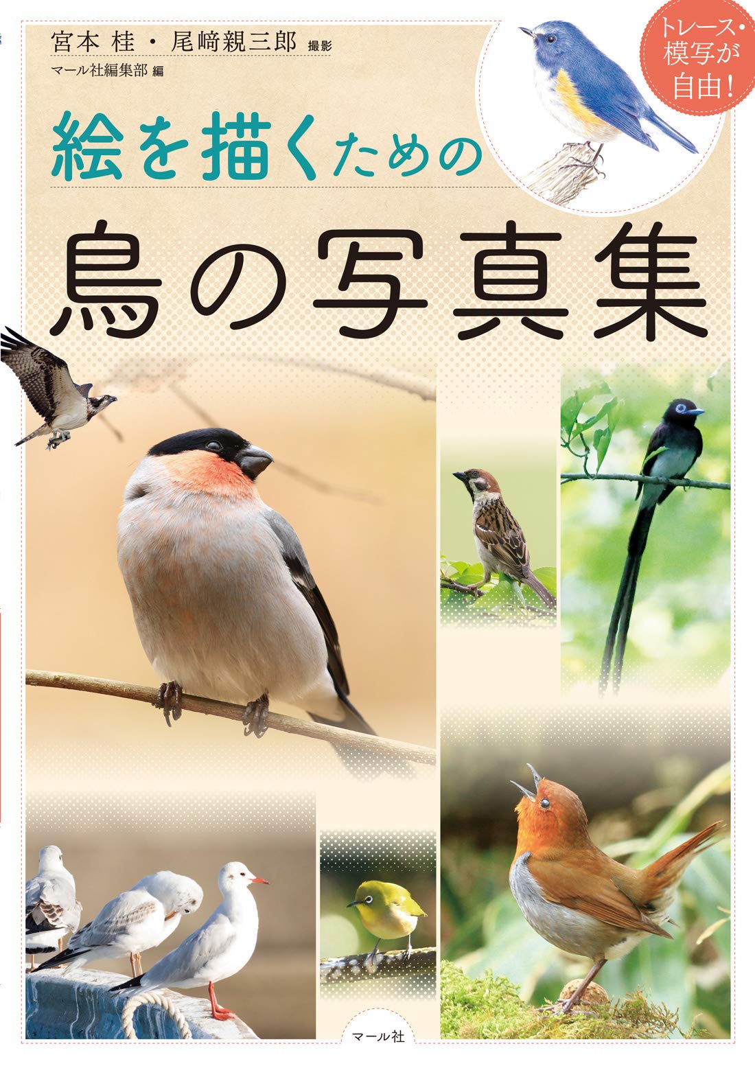 Bird photo book for drawing Japanese Craft Book