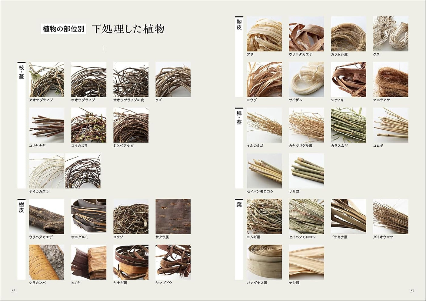 Weaving natural materials: Making use of vines, stems, bark, etc. -- from collecting about 50 kinds of plants to preparing and weaving them - Japanese Craft Book