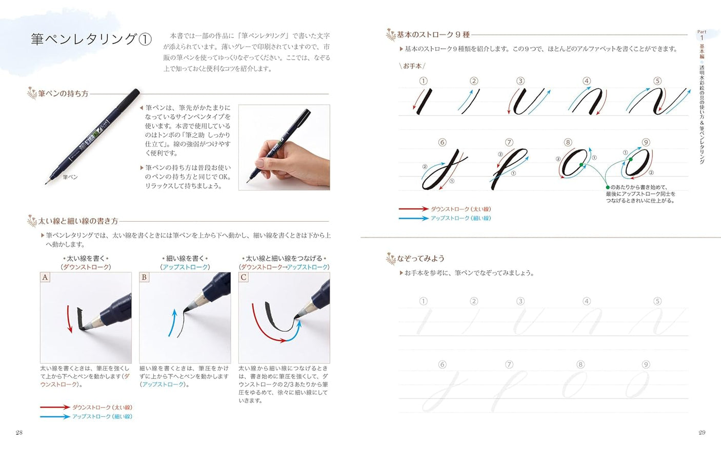 Learn with coloring books - watercolor illustrations of flowers, from single flowers to bouquets and wreaths - Japanese Craft Book
