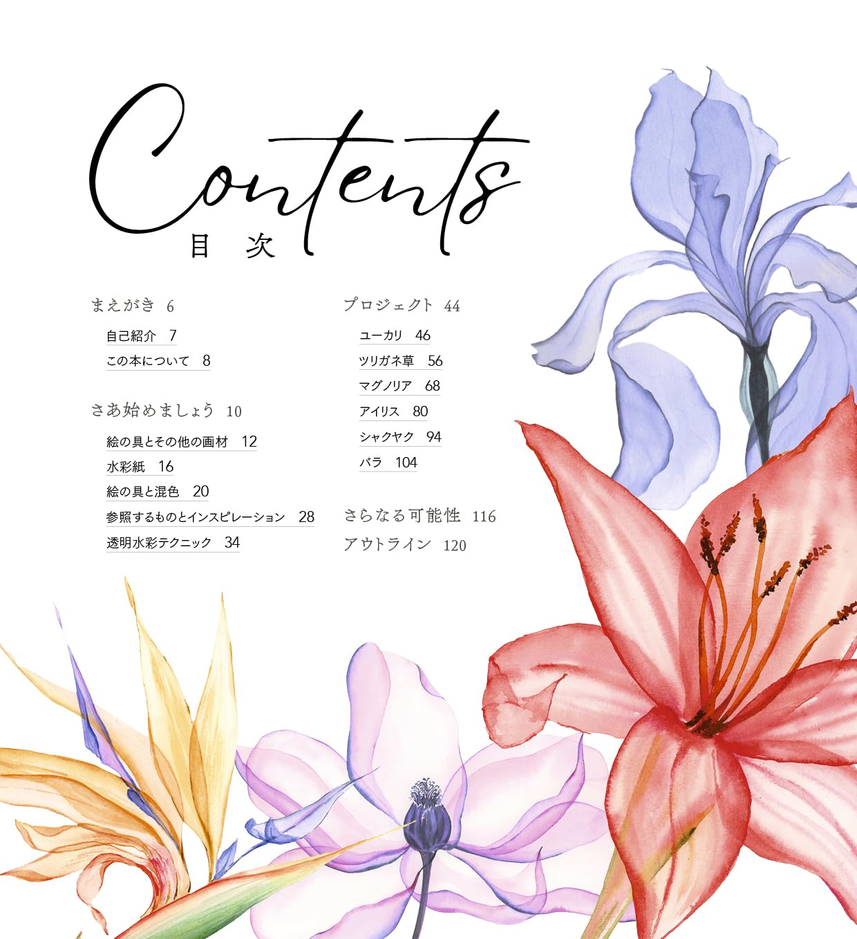 Draw flowers with see-through drawing: A new transparent watercolor lesson - Japanese Craft Book