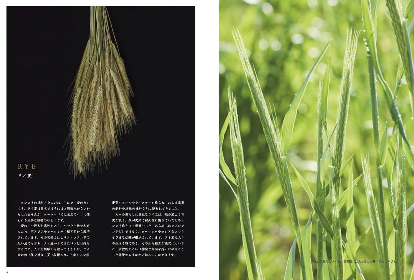 Finnish straw hanging ornament Himmeli - Japanese Craft Book
