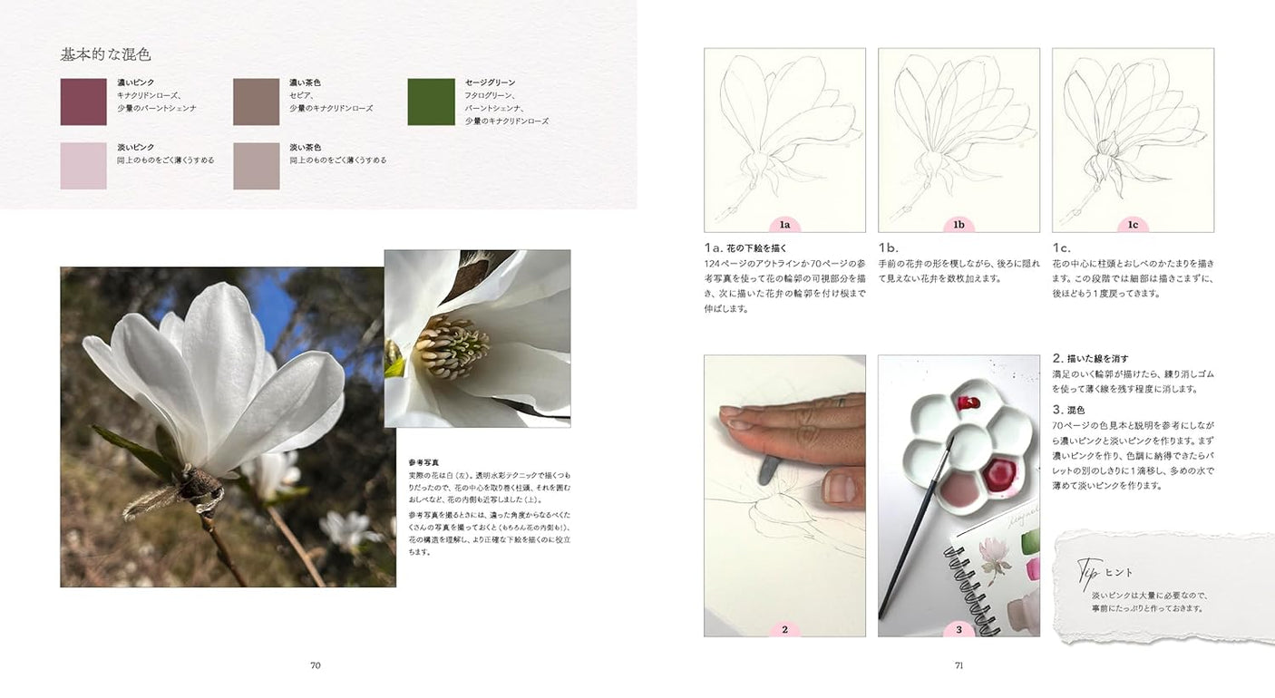 Draw flowers with see-through drawing: A new transparent watercolor lesson - Japanese Craft Book