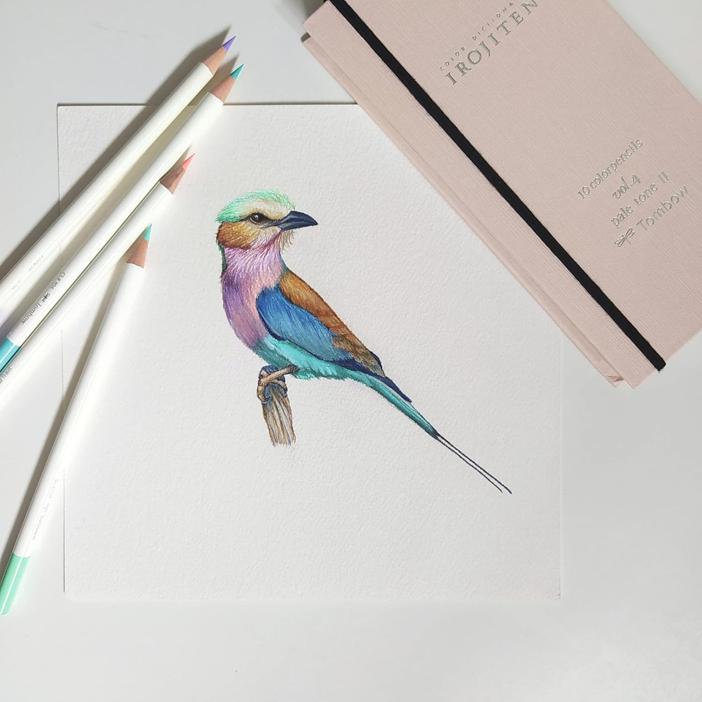 Tombow Colored Pencil Color Dictionary Volume 3 30 Colors CI-RTC