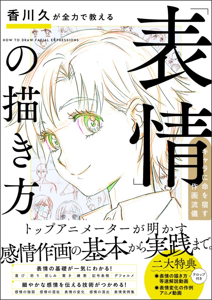 Hisashi Kagawa teaches how to draw facial expressions with all his might Japanese Craft Book