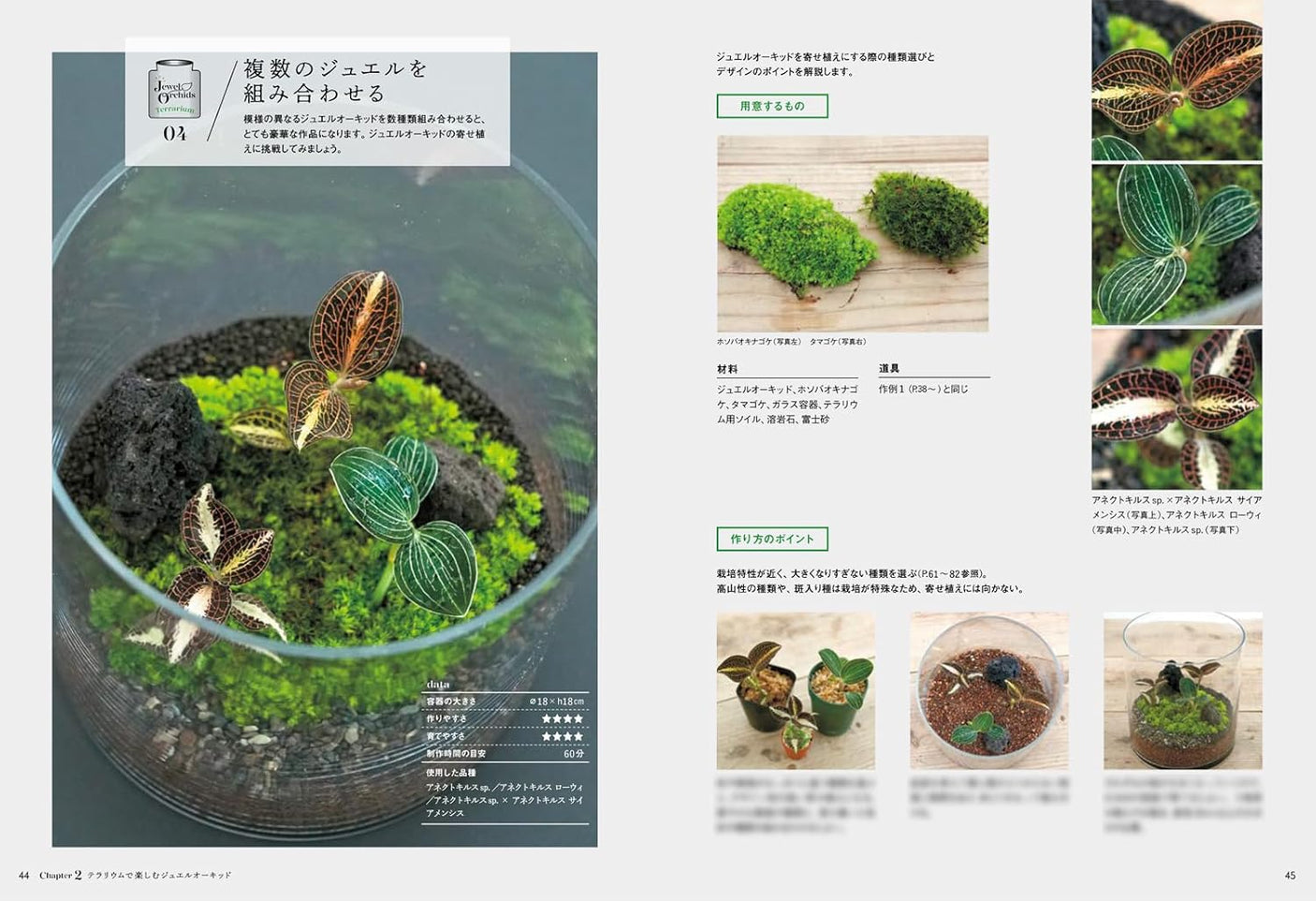Jewel Orchid (Forest jewels to enjoy in your room)- Japanese craft book