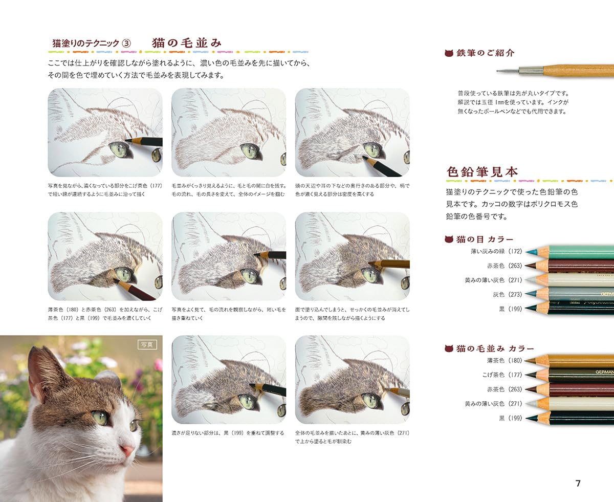 Masayuki Oki's the Free-roaming Cats - Japanese Coloring Book
