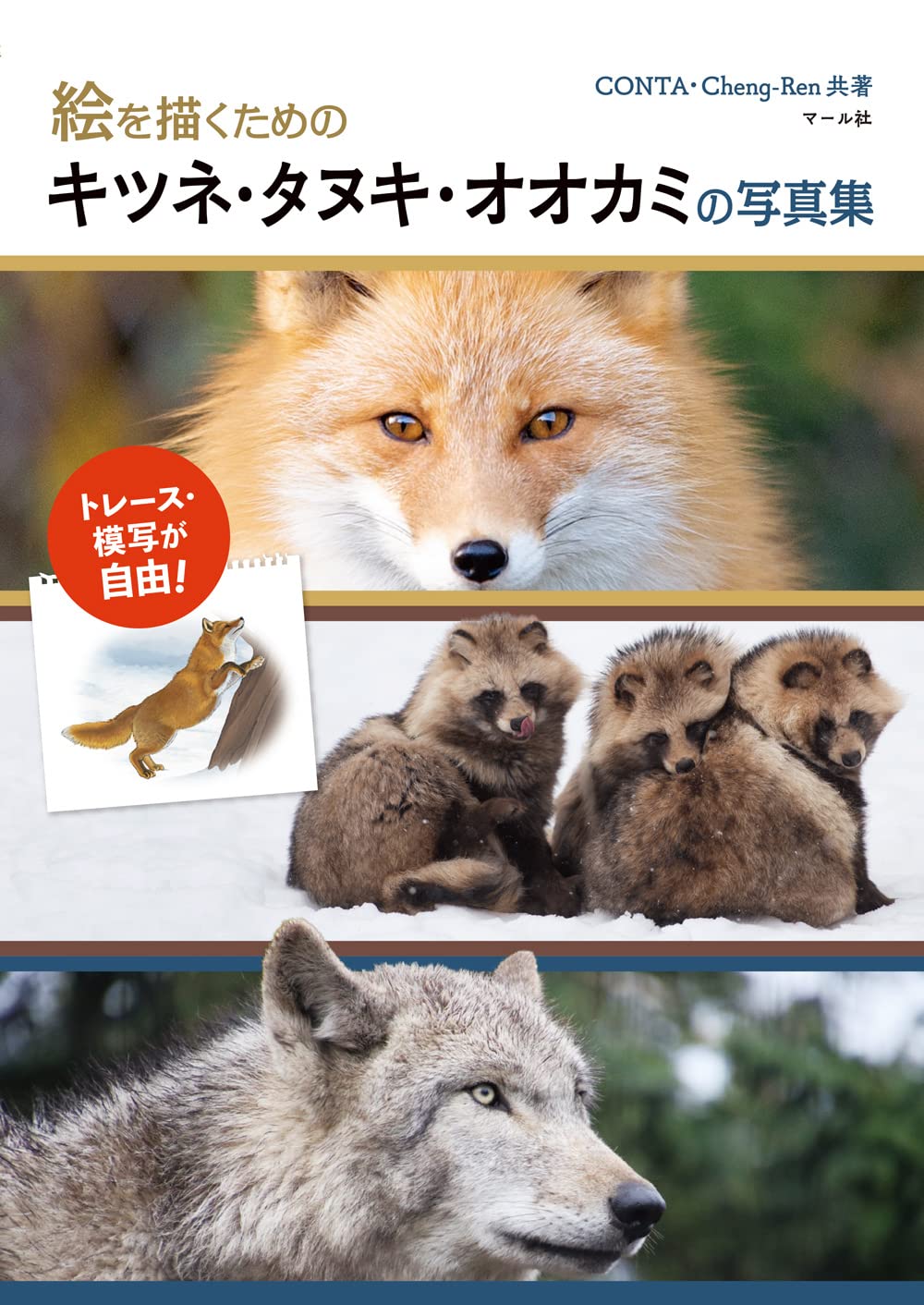 A photo collection of foxes, raccoon dogs, and wolves for drawing pictures Japanese Craft Book
