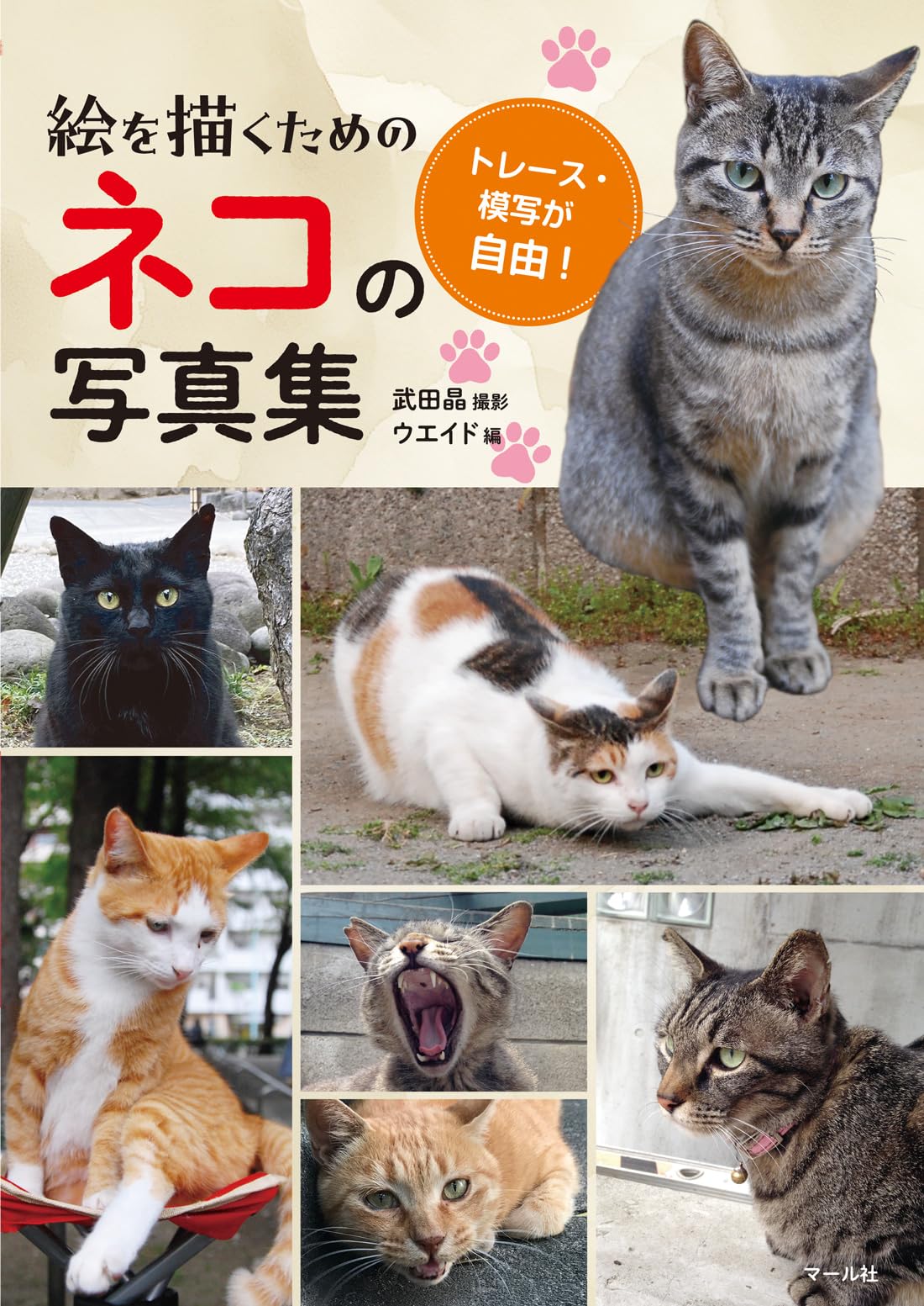 Cat photo collection for drawing pictures Japanese Craft Book