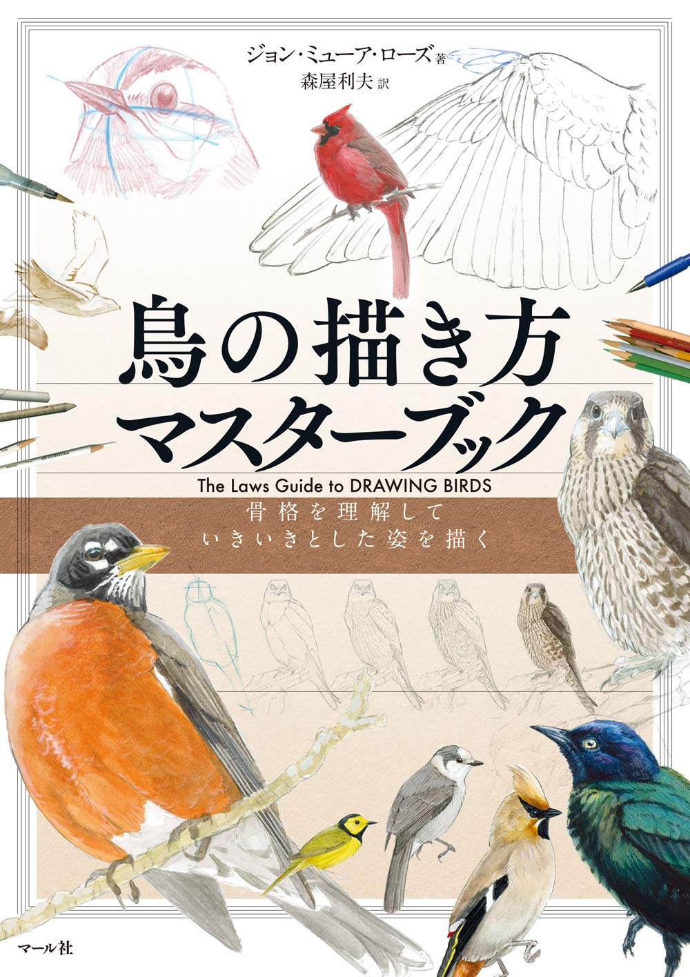 How to draw birds master book Japanese Craft Book