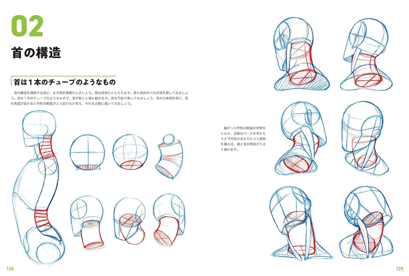 Master guide on how to draw the human body: Learn character drawing from the basics Japanese Craft Book