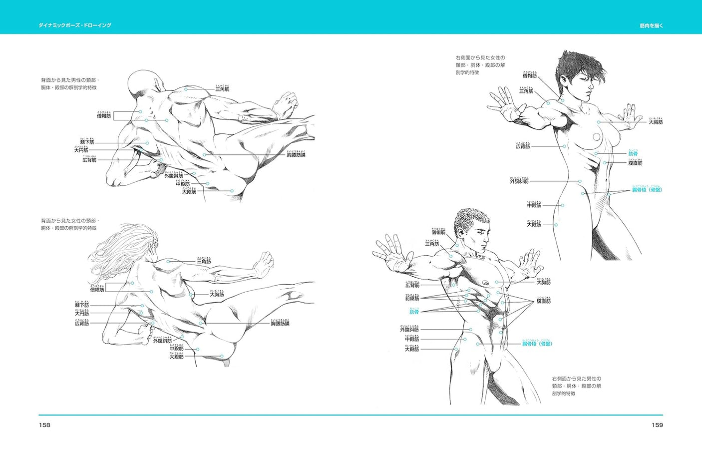 Dynamic pose drawing: Freehand Figure Drawing for Illustrators - Japanese Craft Book