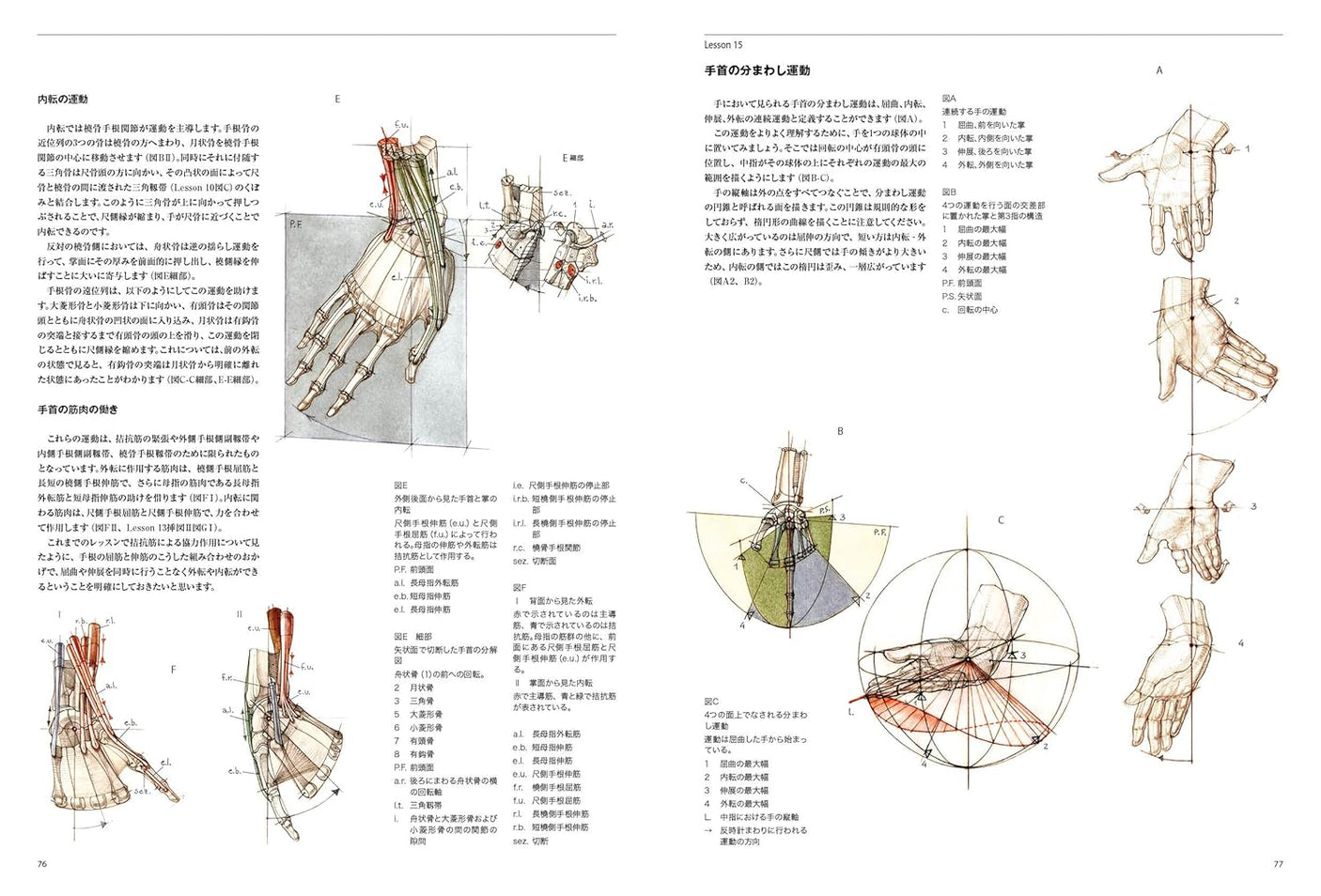 Anatomia drawing a moving human body Japanese Craft Book