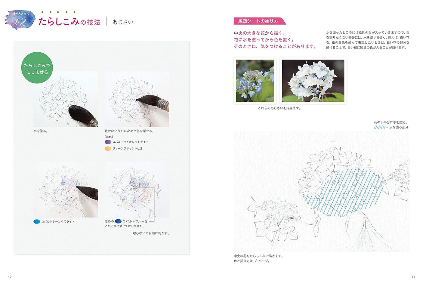 Start today with watercolor: drawing flowers - Japanese Craft Book