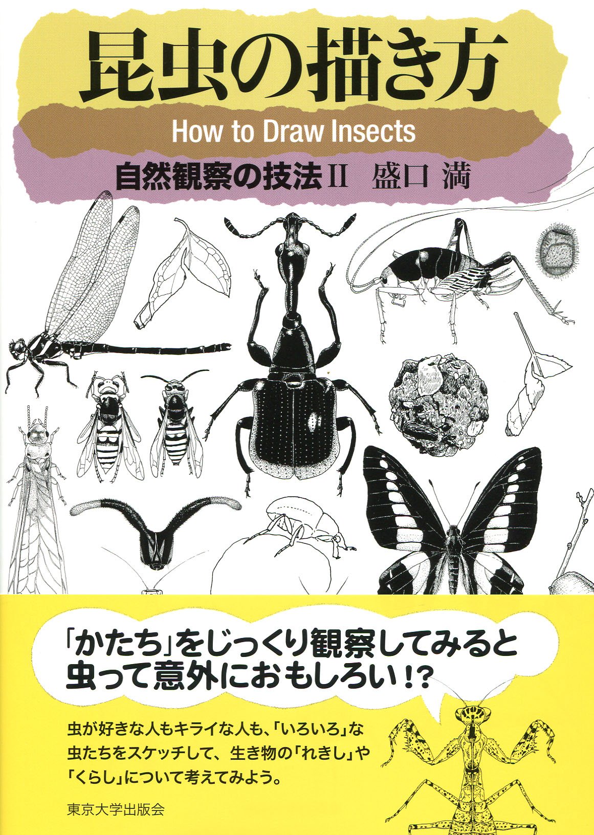 How to draw insects: Nature observation techniques II Japanese Craft Book