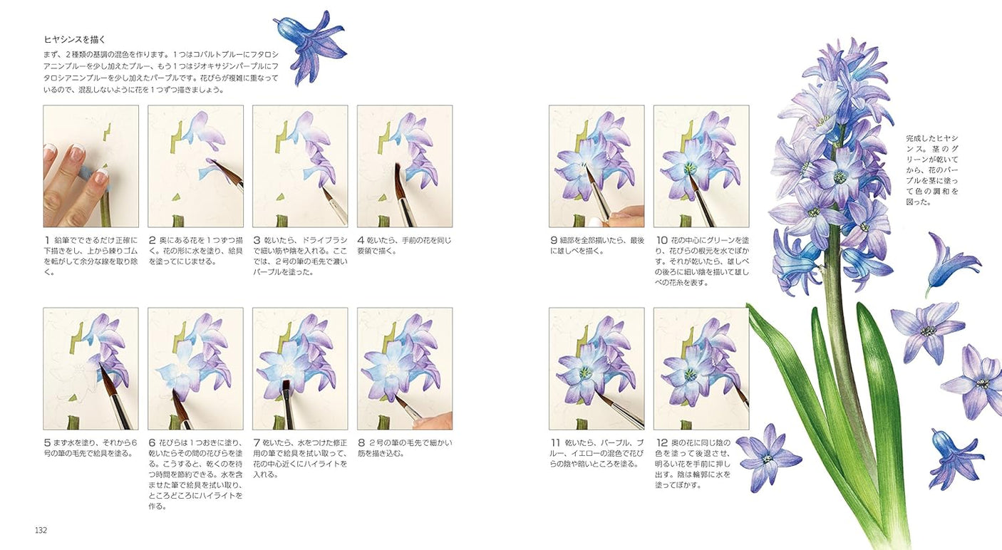 Botanical art drawn with watercolors Japanese Craft Book