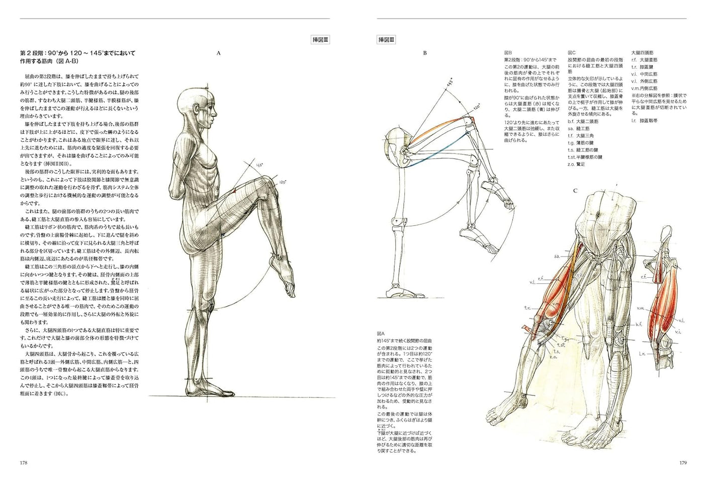 Anatomia drawing a moving human body Japanese Craft Book