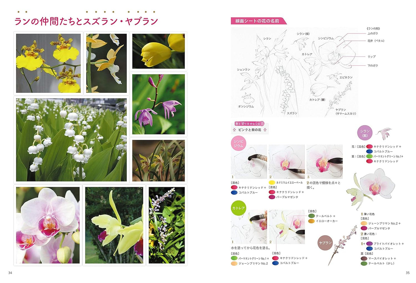 Start today with watercolor: drawing flowers - Japanese Craft Book