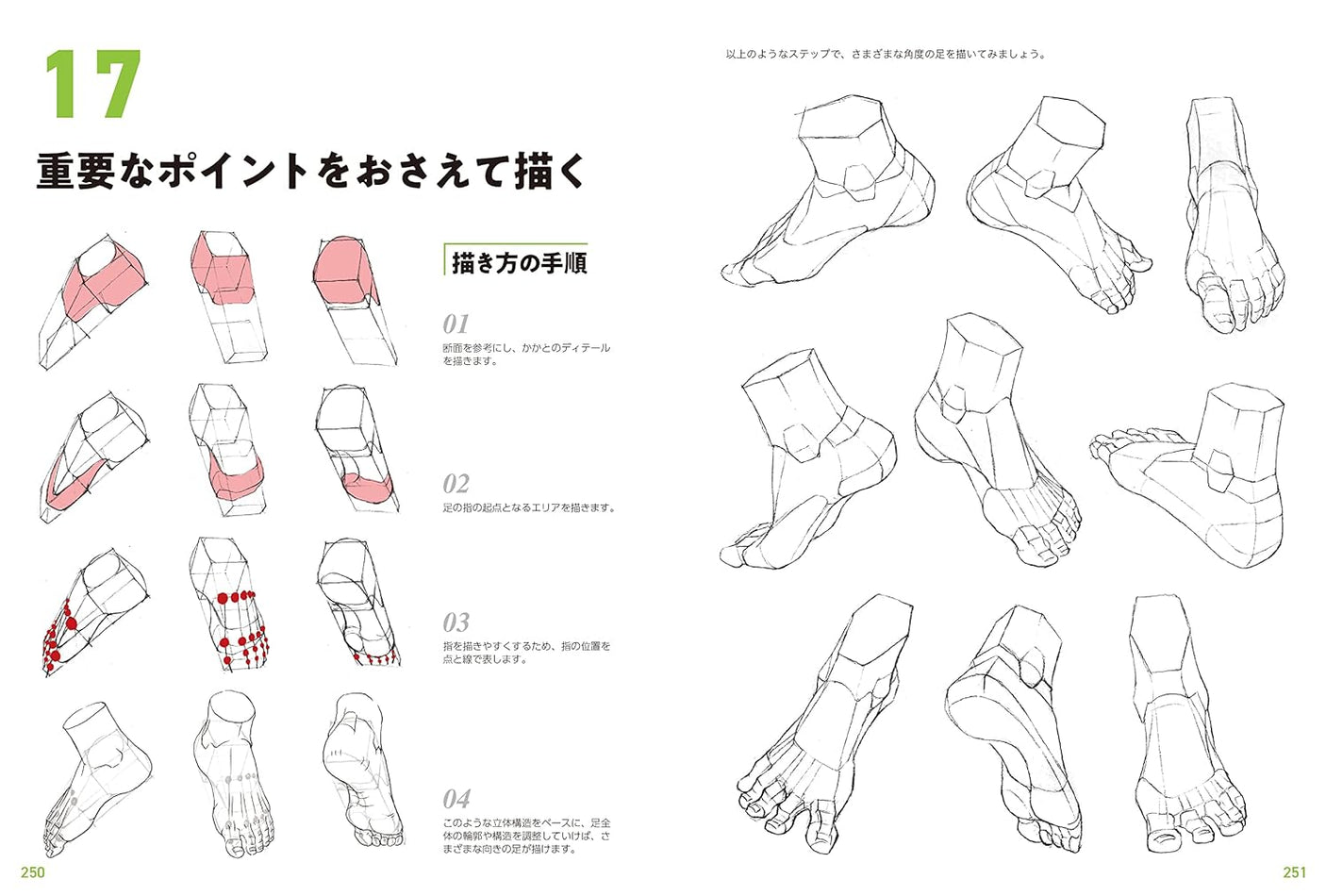 Master guide on how to draw the human body: Learn character drawing from the basics Japanese Craft Book