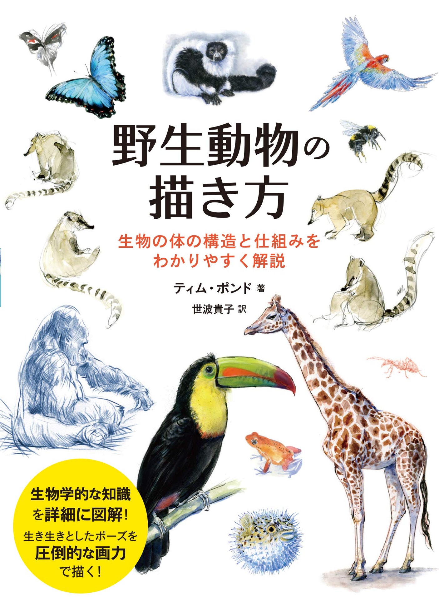 How to draw wild animals: Easy-to-understand explanation of the structure and mechanism of living things Japanese Craft Book