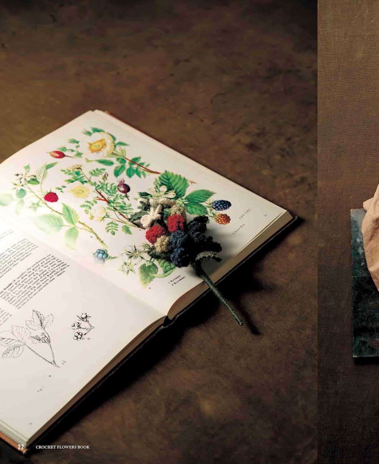 Crocheted by ECO VITA: An elegant flower encyclopedia Crochet Flowers Books - Japanese Craft Book