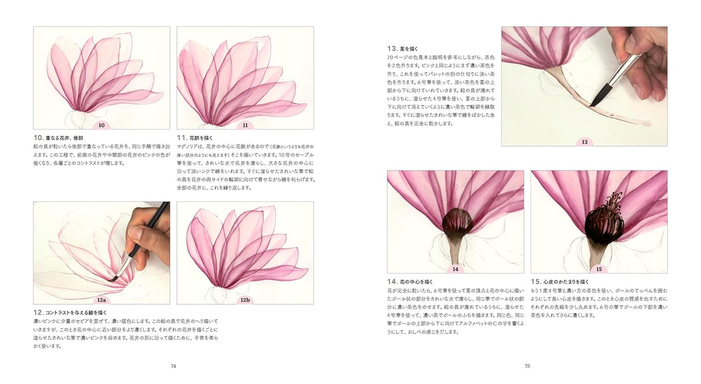 Draw flowers with see-through drawing: A new transparent watercolor lesson - Japanese Craft Book
