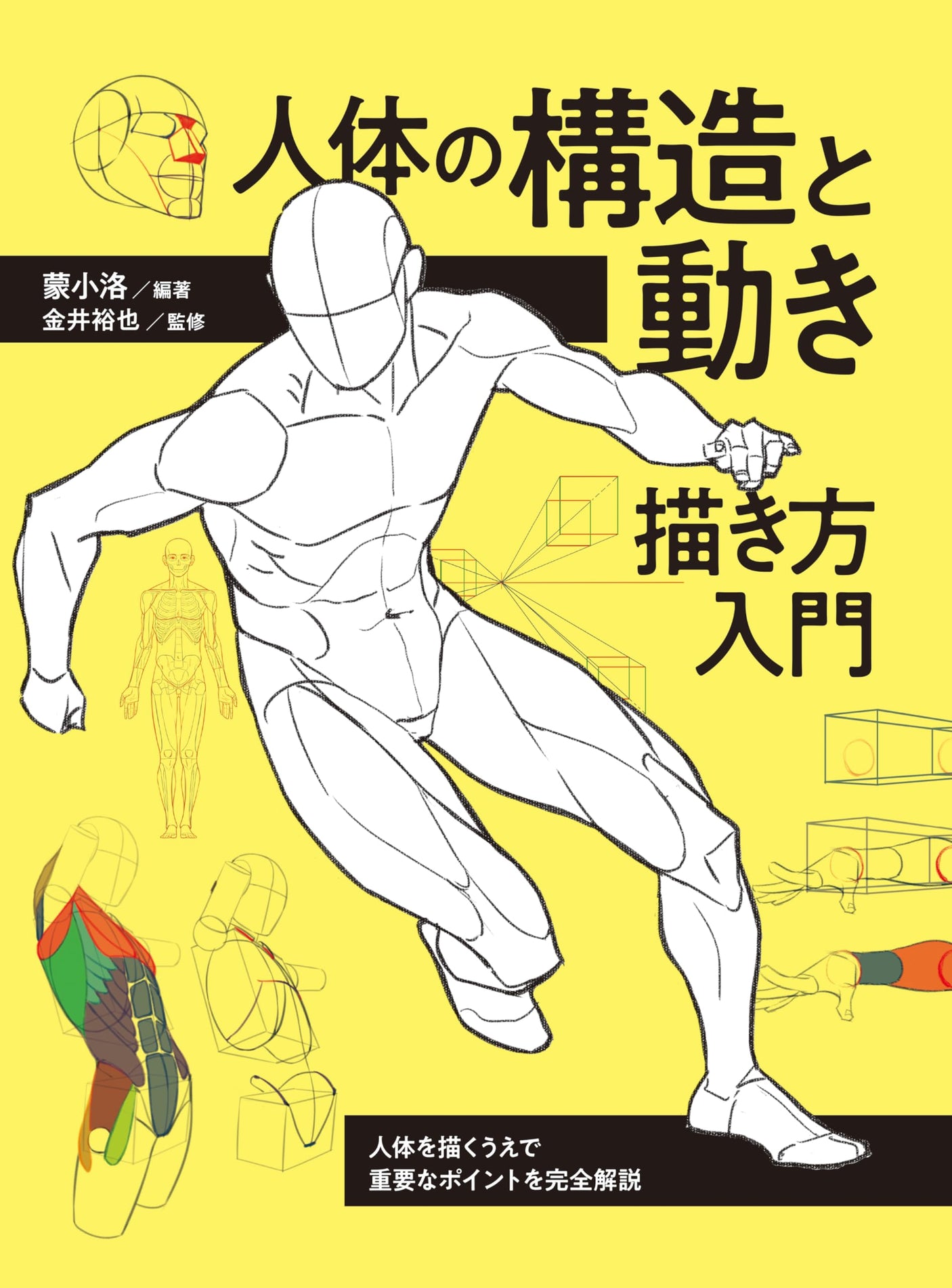 Introduction to drawing the structure and movement of the human body - Complete explanation of important points when drawing the human body Japanese Craft Book