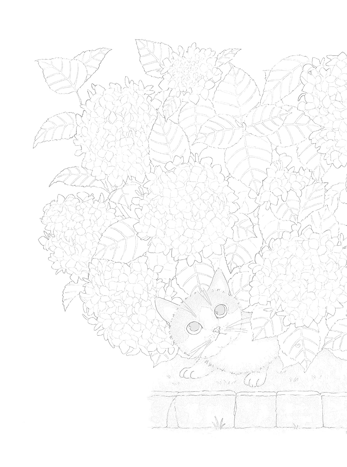 Coloring book Nago's cats Japanese Coloring Book