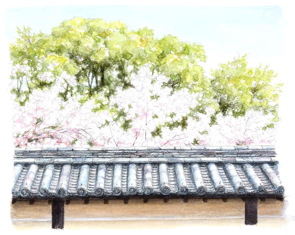 16 watercolor tips that will touch your heart - Japanese Craft Book