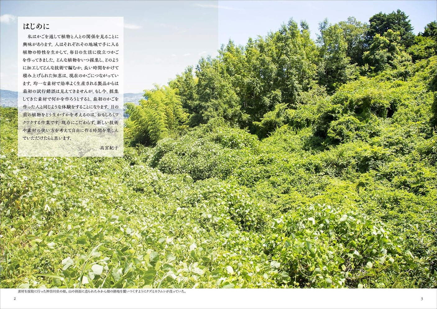 Weaving natural materials: Making use of vines, stems, bark, etc. -- from collecting about 50 kinds of plants to preparing and weaving them - Japanese Craft Book