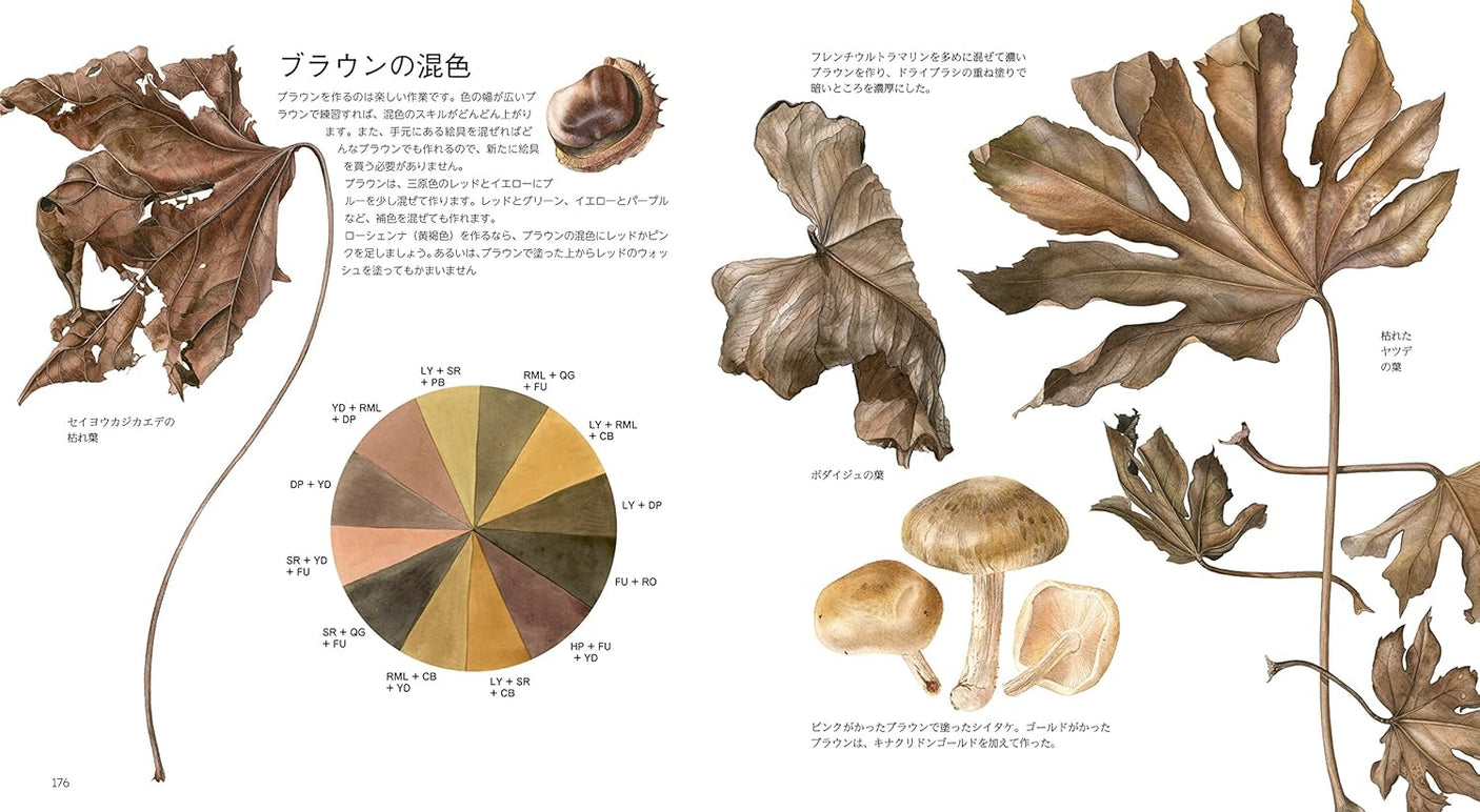 Botanical art drawn with watercolors Japanese Craft Book