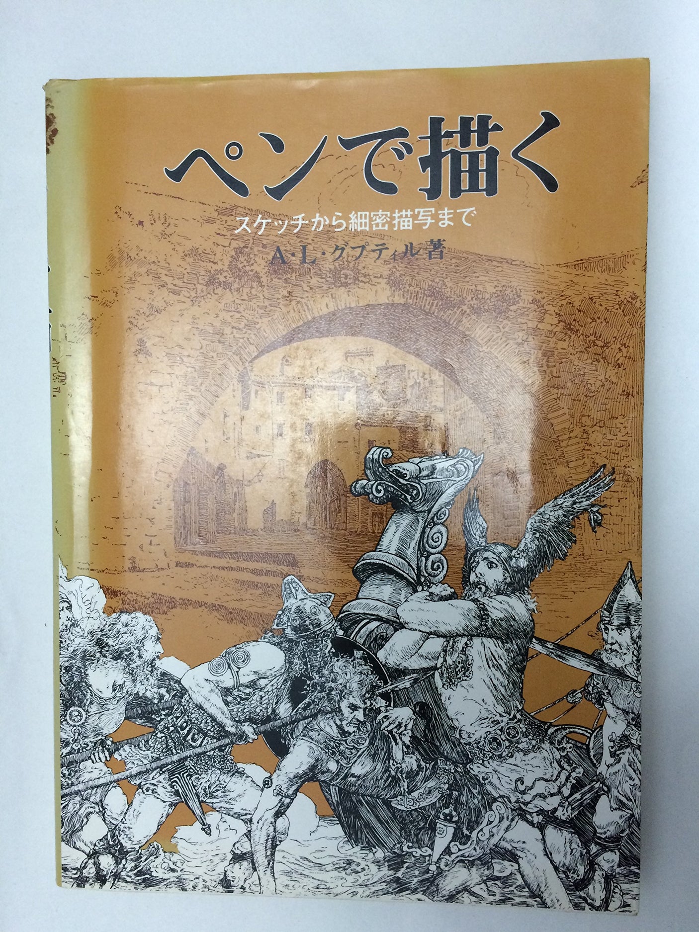 draw with a pen Japanese Craft Book