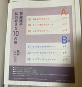 Yoko Saito My 10 Favorite Clothes Easy-to-make & easy-to-wear clothes- Japanese Craft Book