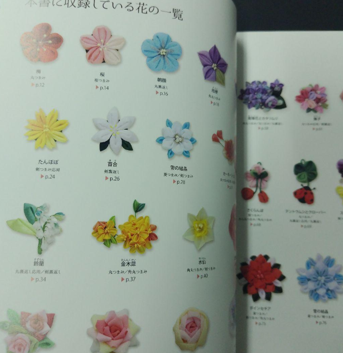 Revised version: Wonderful snacks - Japanese Craft Book