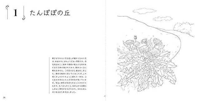 Sketch coloring book for adults: Beautiful flowers on the walking path Japanese Coloring Book