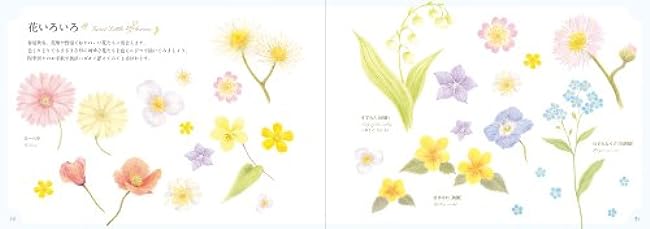 Let's draw small flowers and cute patterns with colored pencils Japanese Coloring Book