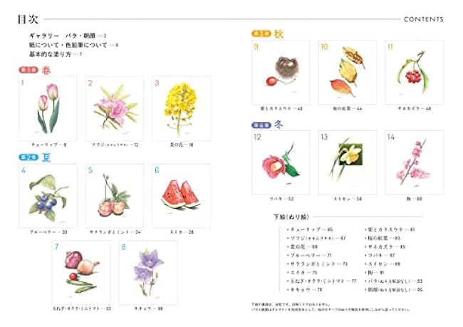 Learn flower and fruit coloring techniques with coloring pages - Japanese Craft Book