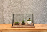 Terrariums of light and moss: From a small world in the palm of your hand to building a landscape