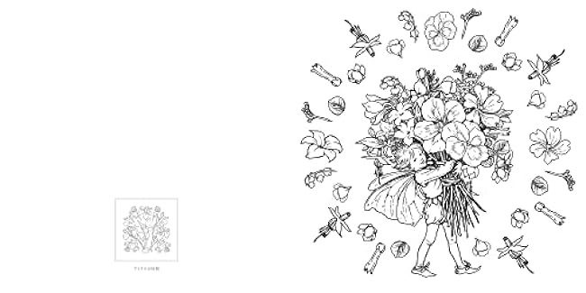 Flower Fairies Flower Fairies Coloring Book Japanese Coloring Book