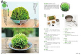 My first moss interior - Japanese Craft Book