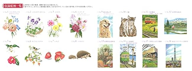 Adult Coloring Book POSTCARD BOOK Colored Pencil BOX Flowers, Landscapes, Animals - Japanese Craft Book