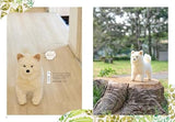 Shiba Inu and Japanese dog amigurumi: Makes you want to play with them Japanese Craft Book