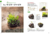 How to make a fascinating moss terrarium Eisaku Ishikawa michikusa - Japanese Craft Book