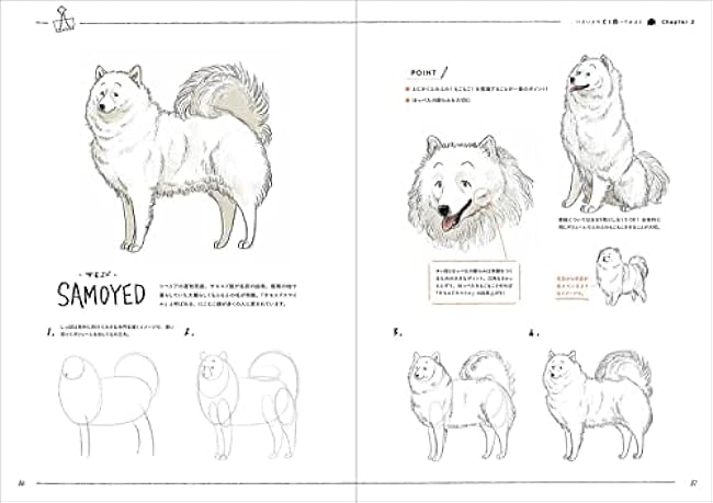 A dog and cat illustration practice book that anyone can draw cutely in 4 steps