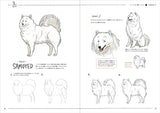 A dog and cat illustration practice book that anyone can draw cutely in 4 steps