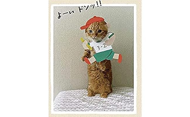 Hame Neko with special Hame Neko coloring sheet Japanese Craft Book - Japanese Craft Book