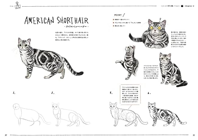 A dog and cat illustration practice book that anyone can draw cutely in 4 steps