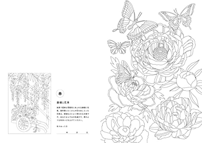 A coloring book of Japanese flowers that soothe your brain and heart and help you sleep comfortably. Japanese Coloring Book