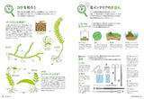 My first moss interior - Japanese Craft Book